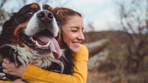 قضاء وقت مع الكلاب يؤثر إيجابياً على نشاط الدماغ